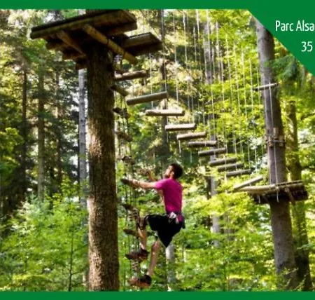 Aux Plaisirs D'alsace Centre Historique *