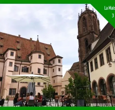 Aux Plaisirs D'alsace Centre Historique アパート セレスタ