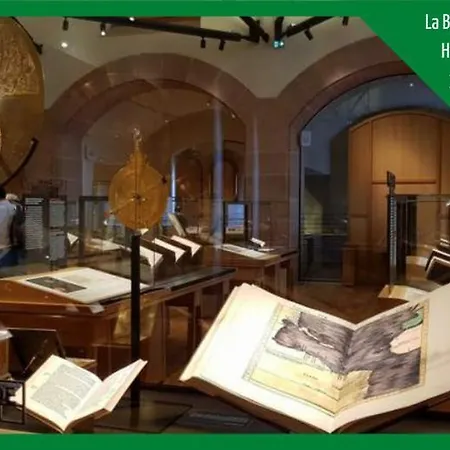 Appartement Aux Plaisirs D'alsace Centre Historique Sélestat