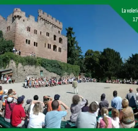 Aux Plaisirs D'alsace Centre Historique