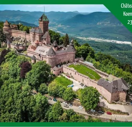Aux Plaisirs D'alsace Centre Historique Apartmán Sélestat