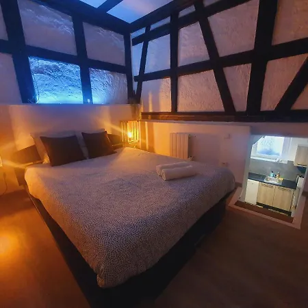 Aux Plaisirs D'alsace Centre Historique アパート *