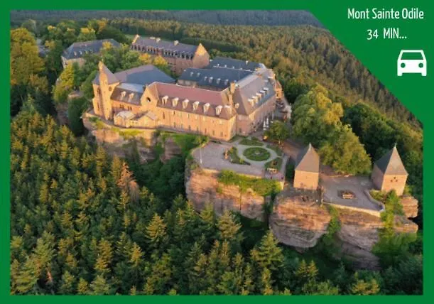 Aux Plaisirs D'alsace Centre Historique *