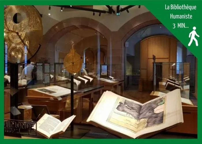 Apartamento Aux Plaisirs D'alsace Centre Historique Sélestat