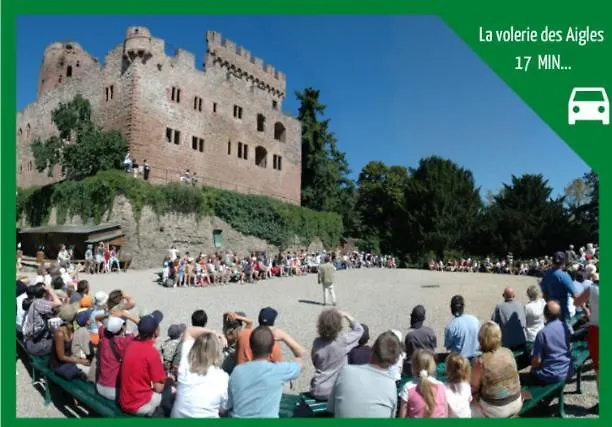 Aux Plaisirs D'alsace Centre Historique