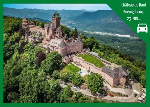 Aux Plaisirs D'alsace Centre Historique Apartamento Sélestat