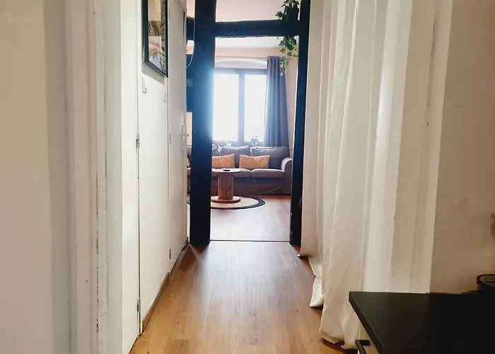 Apartamento Aux Plaisirs D'alsace Centre Historique