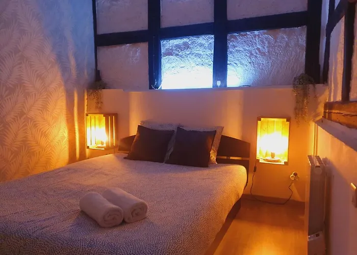 Apartamento Aux Plaisirs D'alsace Centre Historique *
