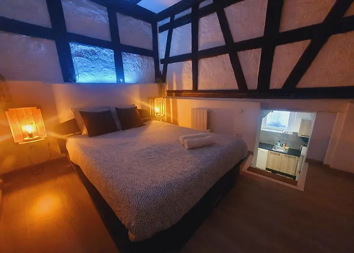 Aux Plaisirs D'alsace Centre Historique Apartamento *